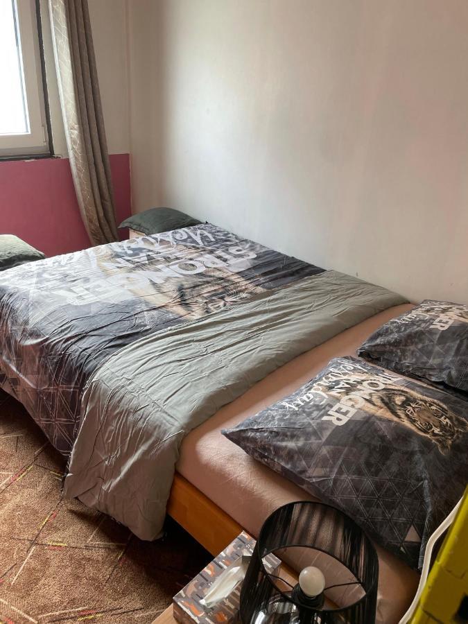 Bien-Etre-Au-Calme Et Parking Gratuit Villa Seraing Dış mekan fotoğraf